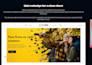 design your professional wordpress website with SEO and responsive design
